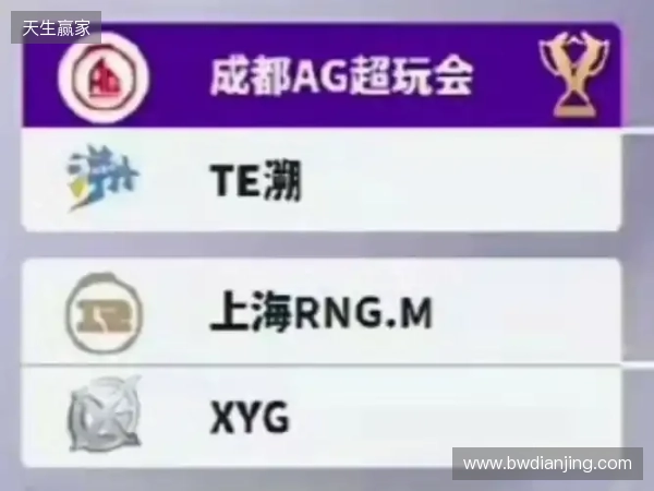 2025王者挑杯抽签结果公布 TE溯将迎战AG超玩会